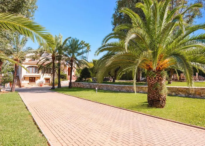 Donzella By Javea